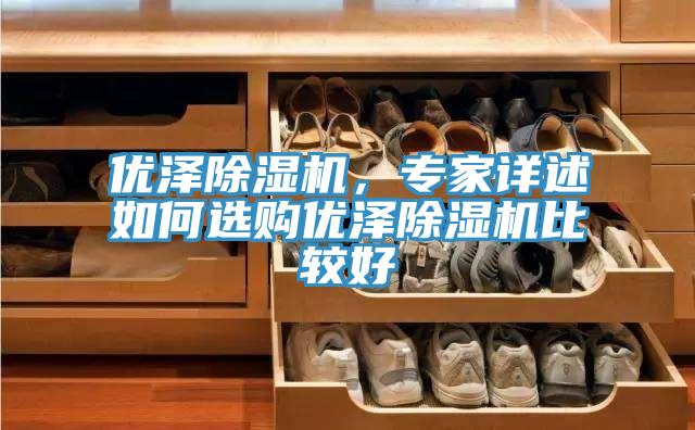 優(yōu)澤除濕機(jī)，專家詳述如何選購(gòu)優(yōu)澤除濕機(jī)比較好