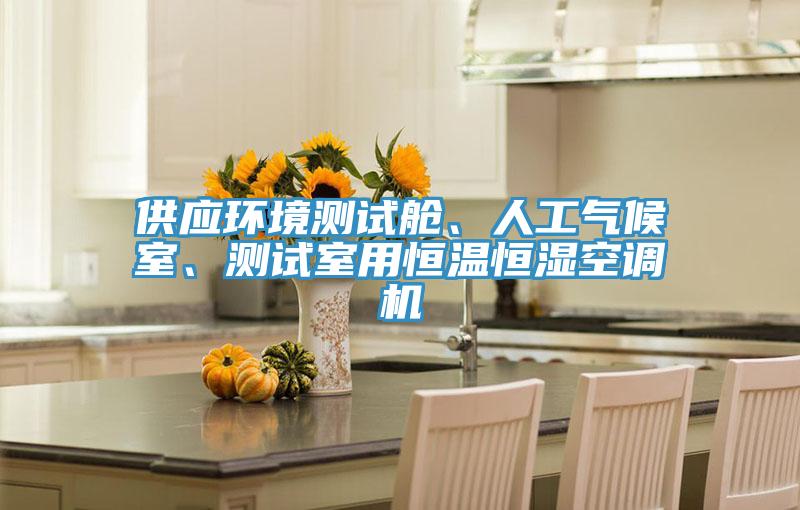 供應(yīng)環(huán)境測(cè)試艙、人工氣候室、測(cè)試室用恒溫恒濕空調(diào)機(jī)