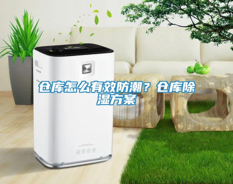 倉(cāng)庫(kù)怎么有效防潮？倉(cāng)庫(kù)除濕方案