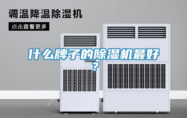 什么牌子的除濕機最好？