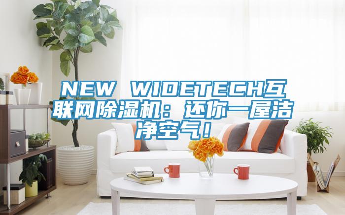 NEW WIDETECH互聯(lián)網(wǎng)除濕機：還你一屋潔凈空氣！