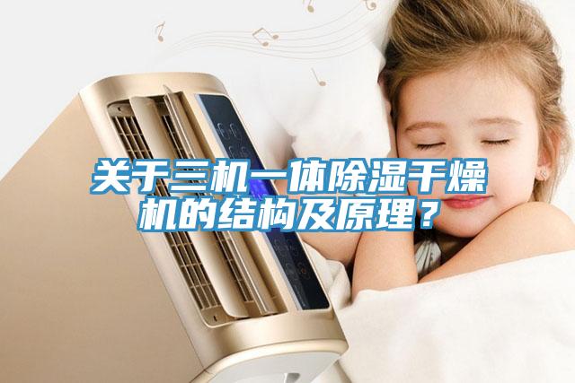 關(guān)于三機(jī)一體除濕干燥機(jī)的結(jié)構(gòu)及原理？