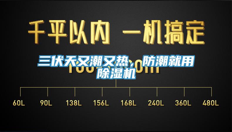 三伏天又潮又熱，防潮就用除濕機