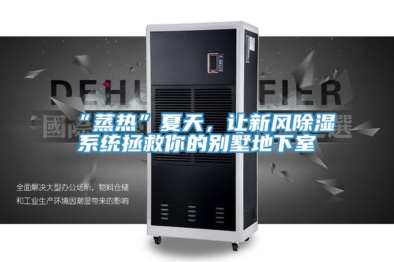 “蒸熱”夏天，讓新風(fēng)除濕系統(tǒng)拯救你的別墅地下室