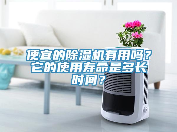 便宜的除濕機(jī)有用嗎？它的使用壽命是多長時(shí)間？