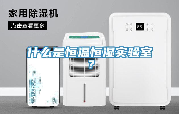 什么是恒溫恒濕實(shí)驗(yàn)室？