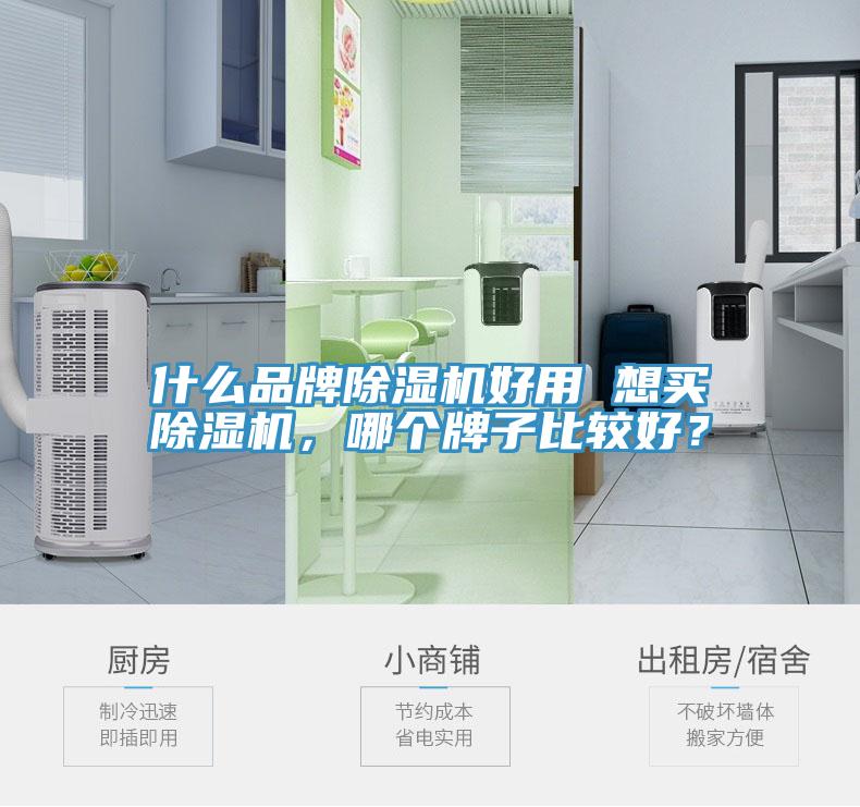 什么品牌除濕機(jī)好用 想買除濕機(jī)，哪個(gè)牌子比較好？