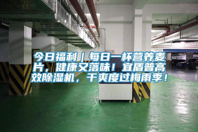 今日福利｜每日一杯營養(yǎng)麥片，健康又落味！宜盾普高效除濕機，干爽度過梅雨季！