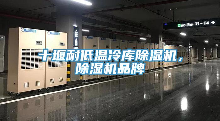 十堰耐低溫冷庫除濕機，除濕機品牌