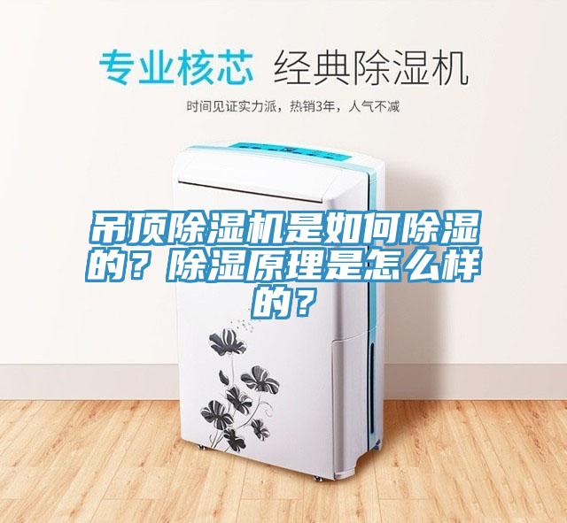 吊頂除濕機(jī)是如何除濕的？除濕原理是怎么樣的？