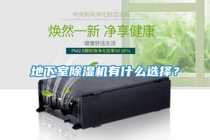 地下室除濕機(jī)有什么選擇？