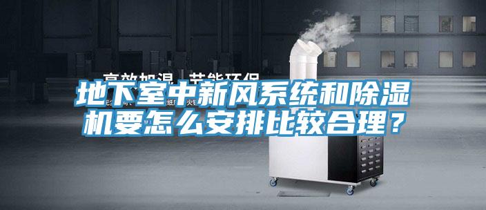 地下室中新風系統(tǒng)和除濕機要怎么安排比較合理？