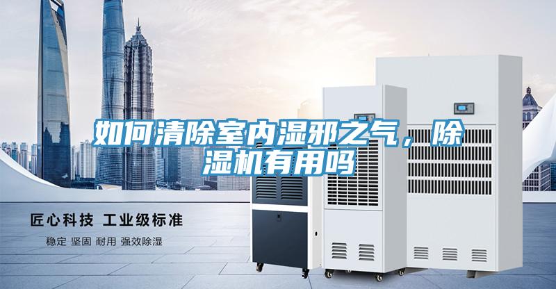 如何清除室內(nèi)濕邪之氣，除濕機有用嗎