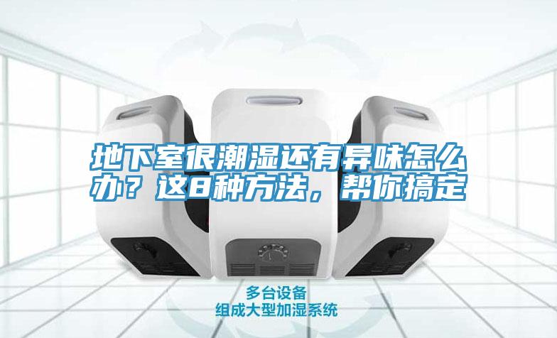 地下室很潮濕還有異味怎么辦？這8種方法，幫你搞定