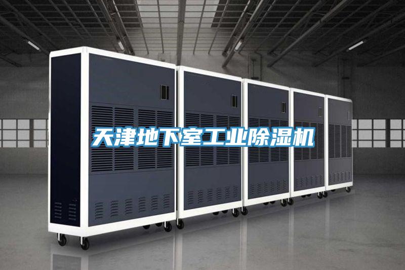天津地下室工業(yè)除濕機