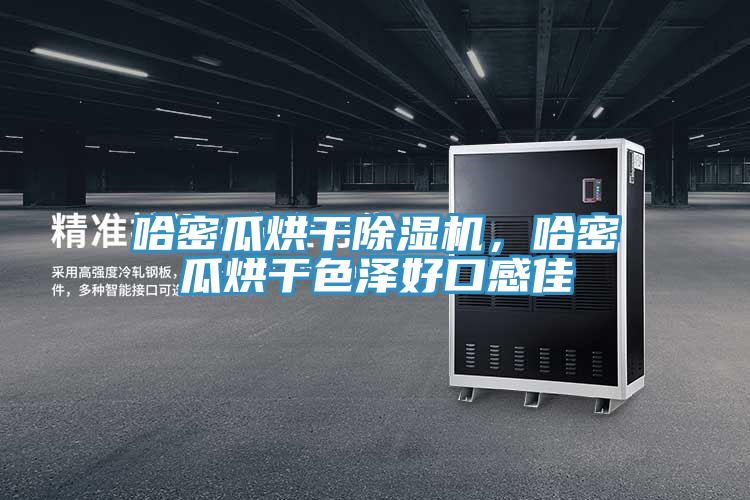 哈密瓜烘干除濕機(jī)，哈密瓜烘干色澤好口感佳