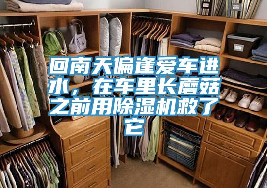 回南天偏逢愛車進(jìn)水，在車?yán)镩L(zhǎng)蘑菇之前用除濕機(jī)救了它