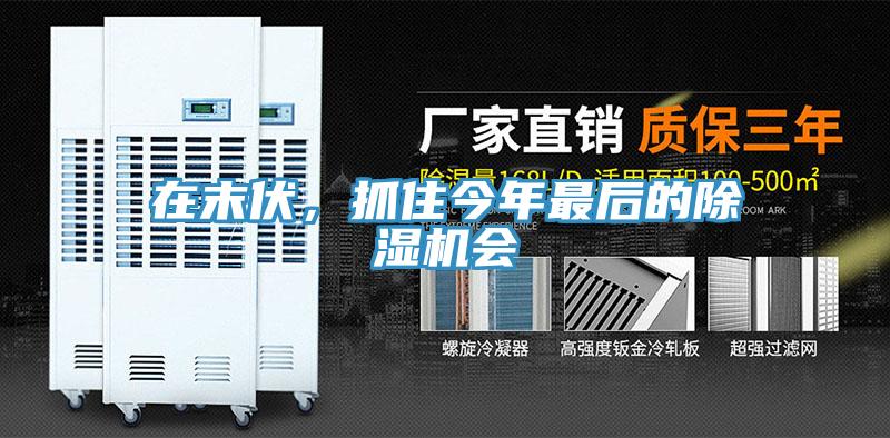 在末伏，抓住今年最后的除濕機會