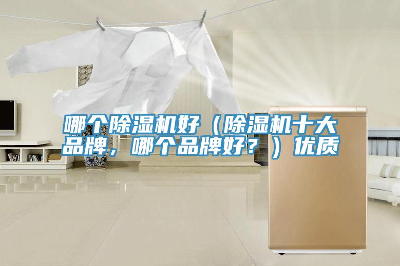 哪個(gè)除濕機(jī)好（除濕機(jī)十大品牌，哪個(gè)品牌好？）優(yōu)質(zhì)