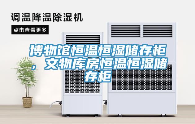 博物館恒溫恒濕儲存柜，文物庫房恒溫恒濕儲存柜