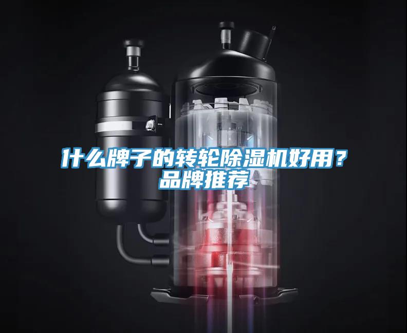 什么牌子的轉(zhuǎn)輪除濕機好用？品牌推薦