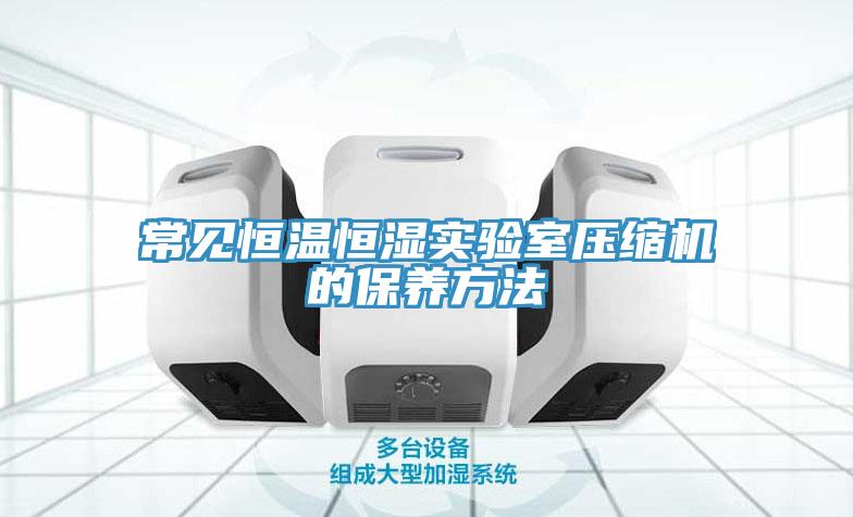 常見恒溫恒濕實(shí)驗(yàn)室壓縮機(jī)的保養(yǎng)方法