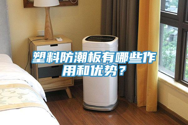 塑料防潮板有哪些作用和優(yōu)勢？