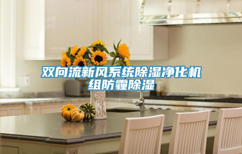 雙向流新風系統(tǒng)除濕凈化機組防霾除濕
