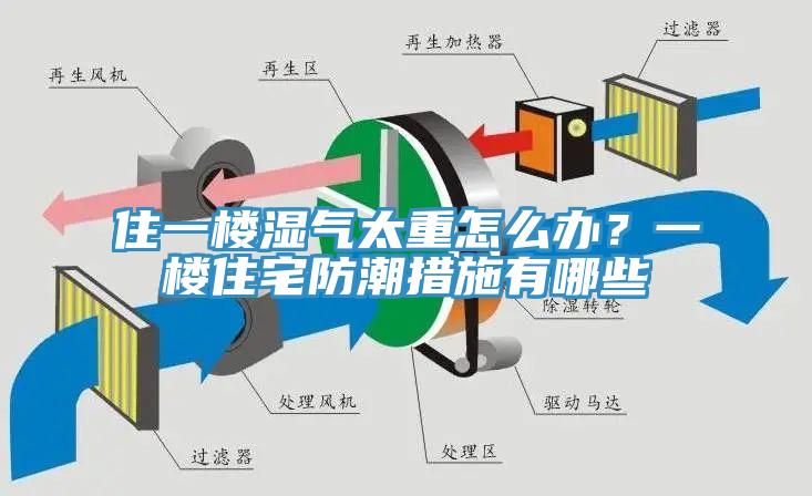 住一樓濕氣太重怎么辦？一樓住宅防潮措施有哪些