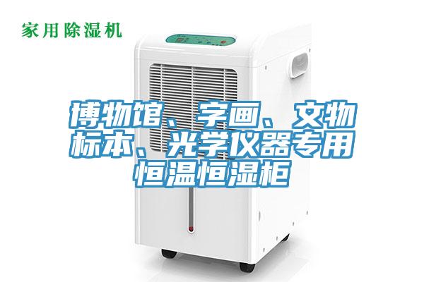 博物館、字畫、文物標(biāo)本、光學(xué)儀器專用恒溫恒濕柜