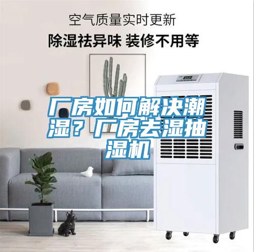 廠房如何解決潮濕？廠房去濕抽濕機(jī)