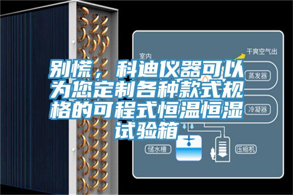 別慌，科迪儀器可以為您定制各種款式規(guī)格的可程式恒溫恒濕試驗(yàn)箱