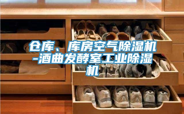 倉庫、庫房空氣除濕機-酒曲發(fā)酵室工業(yè)除濕機