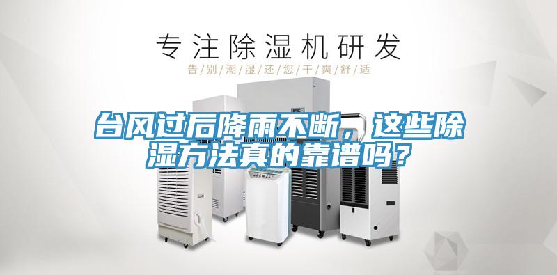 臺風過后降雨不斷，這些除濕方法真的靠譜嗎？