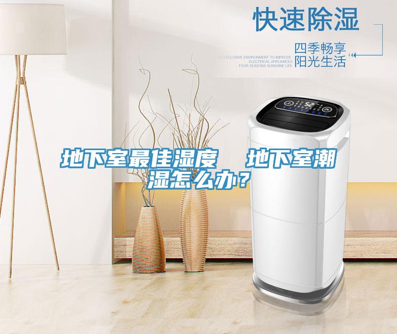 地下室最佳濕度  地下室潮濕怎么辦？