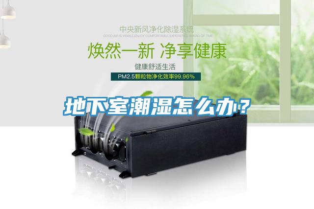 地下室潮濕怎么辦？