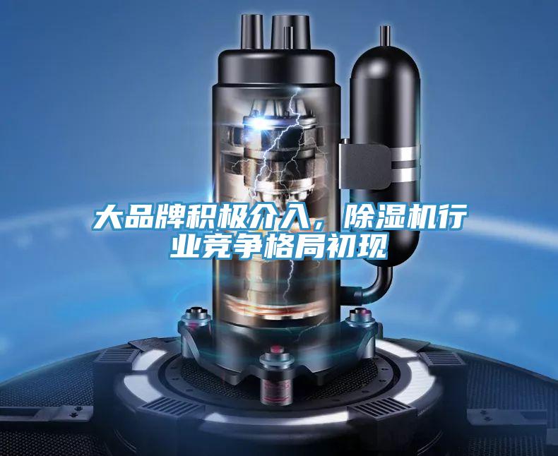 大品牌積極介入，除濕機(jī)行業(yè)競爭格局初現(xiàn)