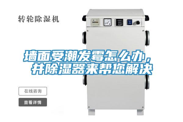 墻面受潮發(fā)霉怎么辦，東井除濕器來(lái)幫您解決