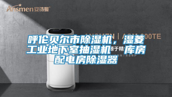 呼倫貝爾市除濕機，濕菱工業(yè)地下室抽濕機  庫房配電房除濕器
