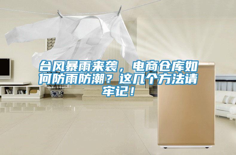 臺風暴雨來襲，電商倉庫如何防雨防潮？這幾個方法請牢記！