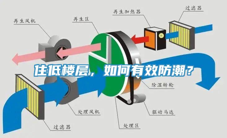 住低樓層，如何有效防潮？