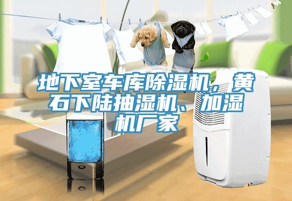 地下室車庫除濕機(jī)，黃石下陸抽濕機(jī)、加濕機(jī)廠家