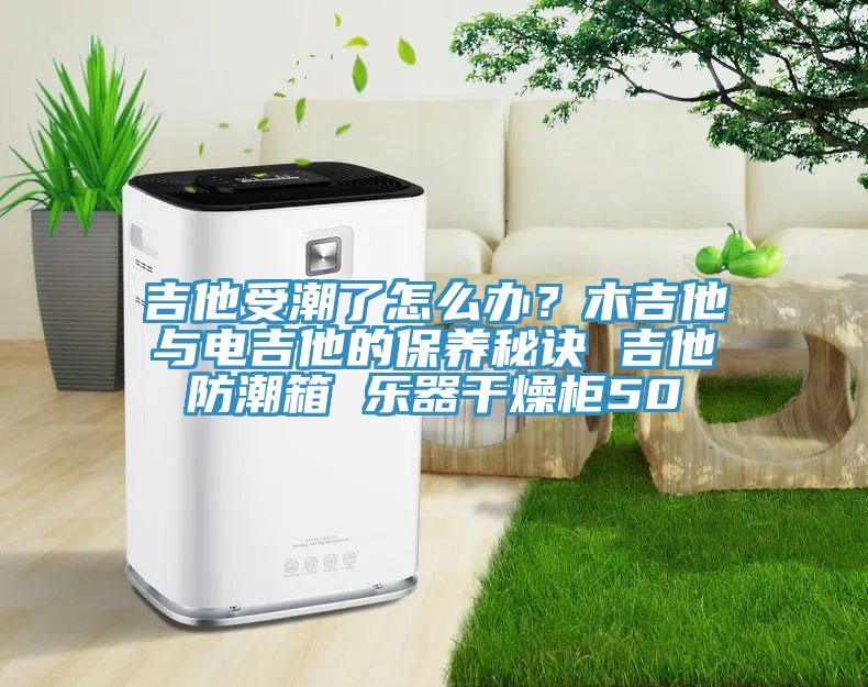 吉他受潮了怎么辦？木吉他與電吉他的保養(yǎng)秘訣 吉他防潮箱 樂器干燥柜50