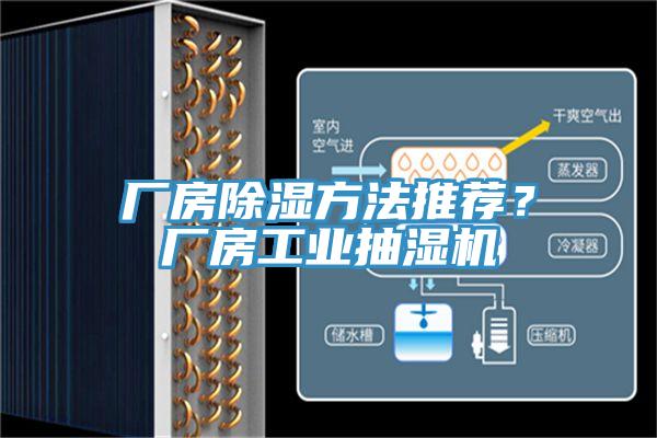 廠房除濕方法推薦？廠房工業(yè)抽濕機