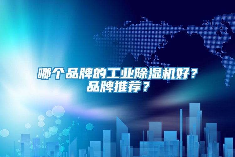 哪個品牌的工業(yè)除濕機好？品牌推薦？