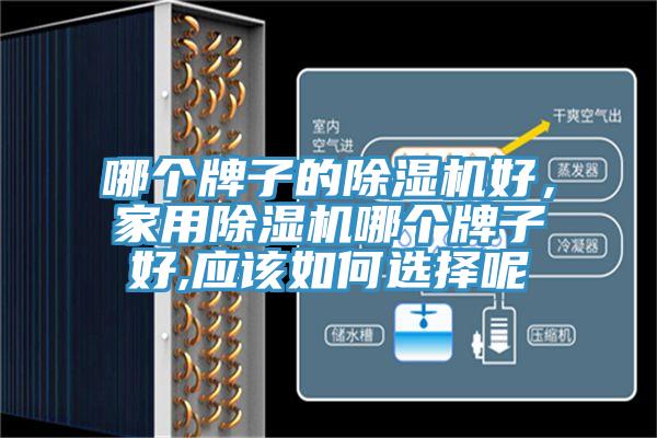 哪個牌子的除濕機好，家用除濕機哪個牌子好,應(yīng)該如何選擇呢