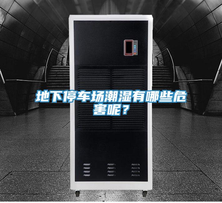 地下停車場(chǎng)潮濕有哪些危害呢？