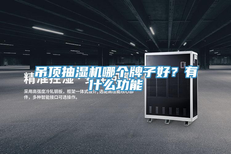 吊頂抽濕機哪個牌子好？有什么功能