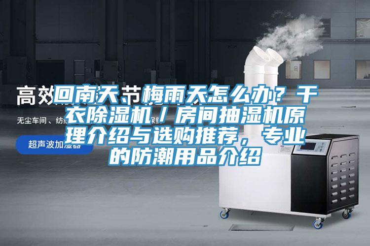 回南天、梅雨天怎么辦？干衣除濕機(jī)／房間抽濕機(jī)原理介紹與選購?fù)扑]，專業(yè)的防潮用品介紹