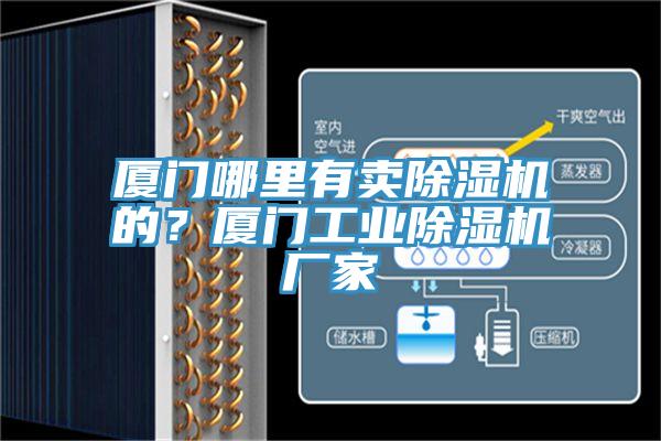 廈門哪里有賣除濕機(jī)的？廈門工業(yè)除濕機(jī)廠家